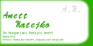 anett matejko business card